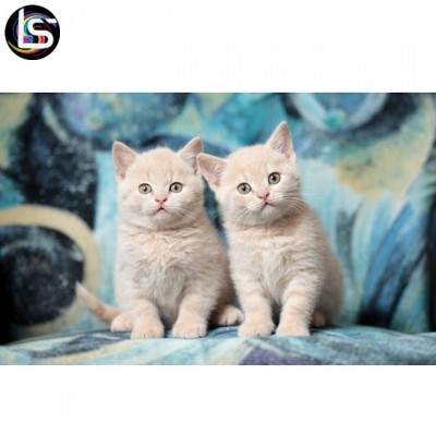 2019 Hot Sale Two Kissing Little Cat Lenticular 3d Plastic Picture